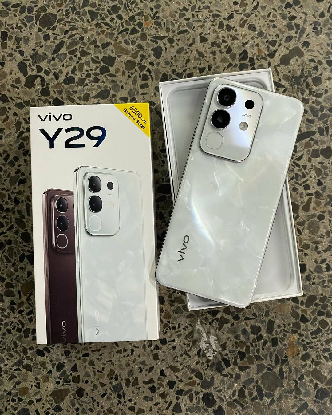 Vivo Y29